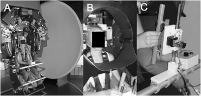 Effects of Optokinetic Stimulation on Verticality Perception Are Much Larger for Vision-Based Paradigms Than for Vision-Independent Paradigms